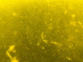 IMG-20250421-WA0085 (1).jpg